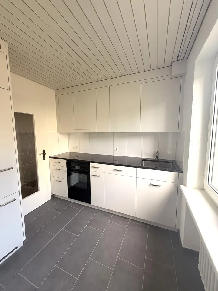 Appartamento di 2 camere appena ristrutturato con area giardino