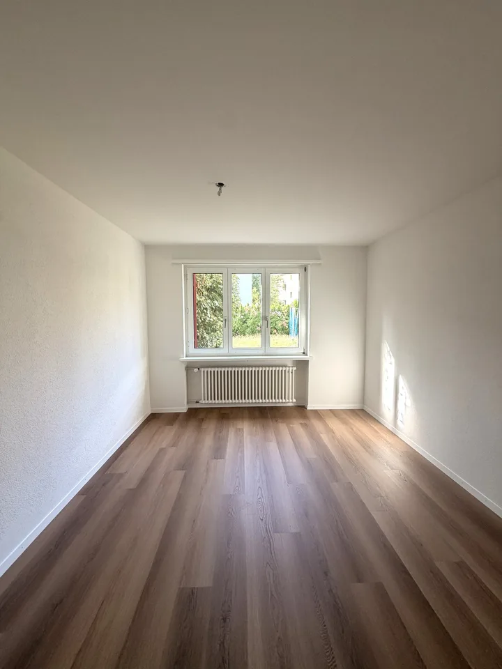 Appartamento di 2 camere appena ristrutturato con area giardino