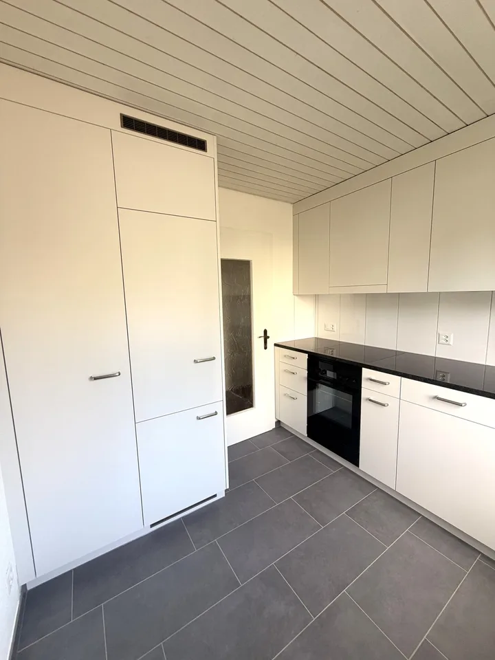 Appartamento di 2 camere appena ristrutturato con area giardino