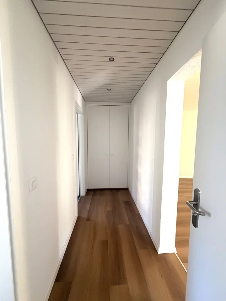 Appartamento di 2 camere appena ristrutturato con area giardino