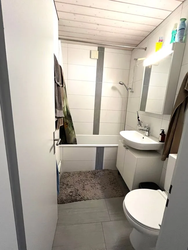 Apartment with Electric Charging Station 4.5-Room Apartment with Large Terrace