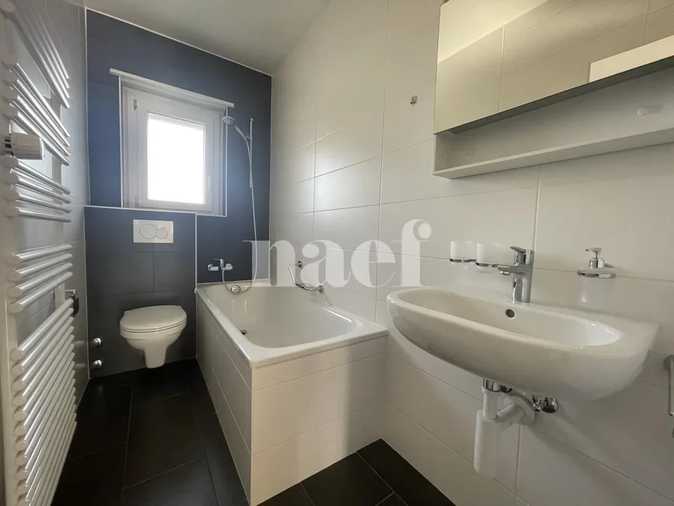 Appartement rénové