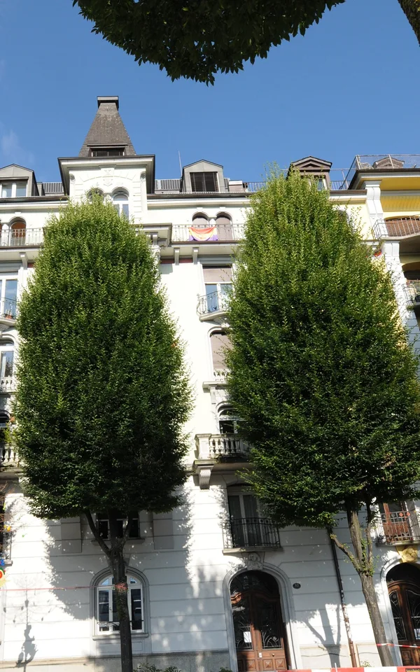 Charmante 2.5-Zimmer-Maisonette-Wohnung mit Dachterrasse im Herz von Luzern