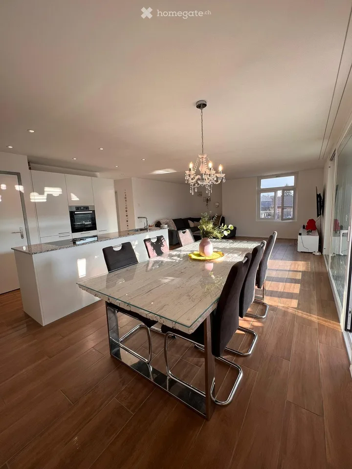 Modern 4.5 room apartment
