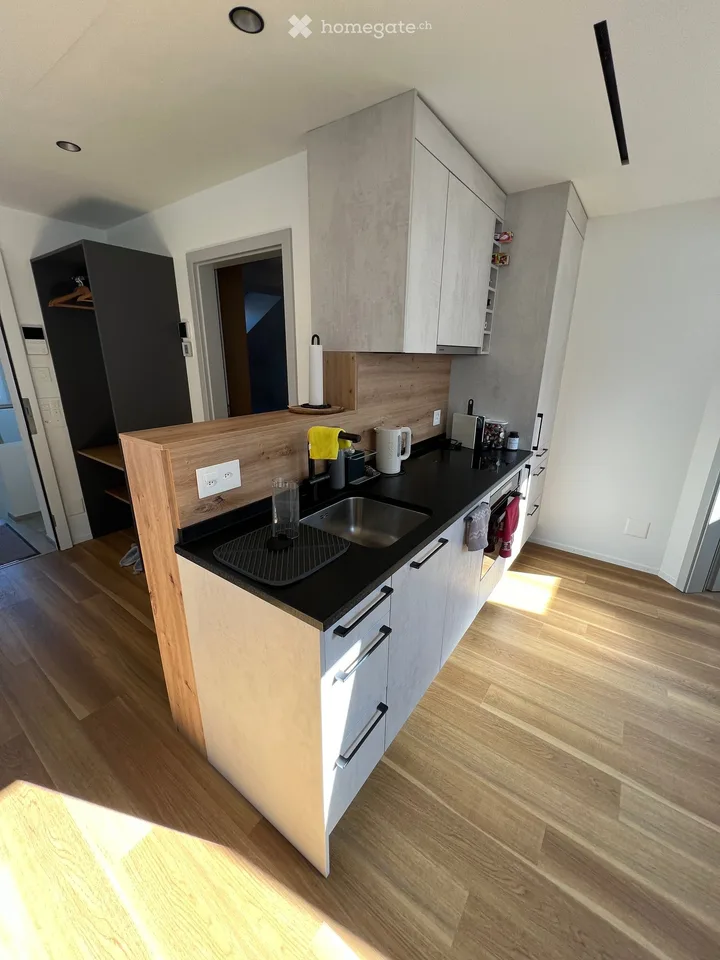 SERVICED PREMIUM APARTMENTS FREIENBACH & WOLLERAU