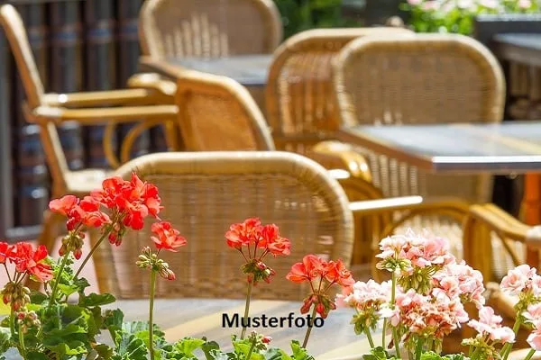 *Abizione/ristorante e terreno*