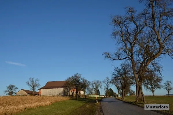 *Bauernhaus mit 2 Wohnungen und Stallteil*