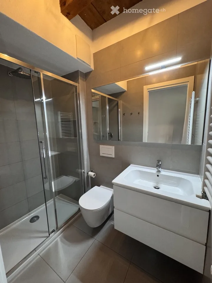 Renovated apartment in Gentilino