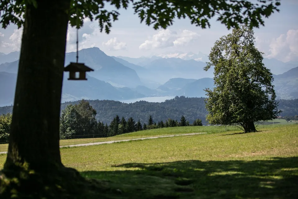 Oasi nel verde con vista panoramica