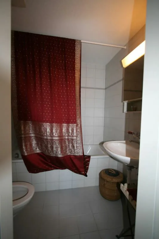 Bright attic apartment in the center of Dietikon
