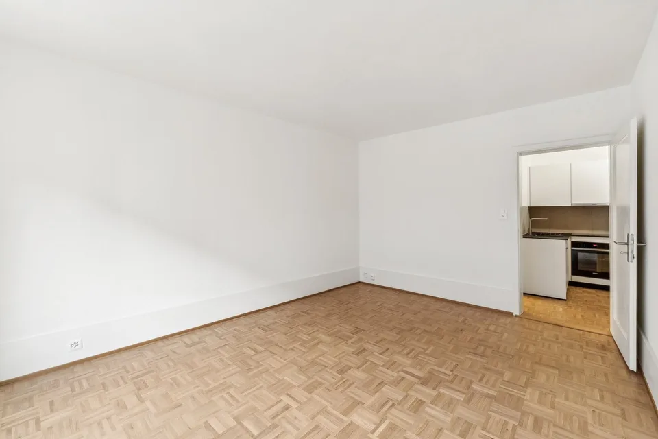 A beautiful studio in Servette!