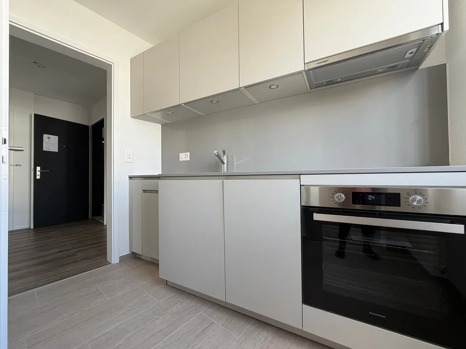 Charmante 3.5-Zimmer-Dachwohnung an der Witikonerstrasse in Zürich