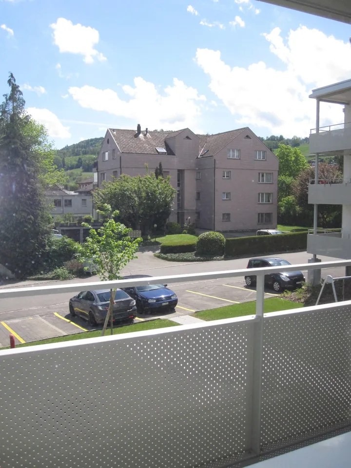 2019 renovierte 3 1/2 Zi-Wohnung mit grossem Balkon und Weitsicht