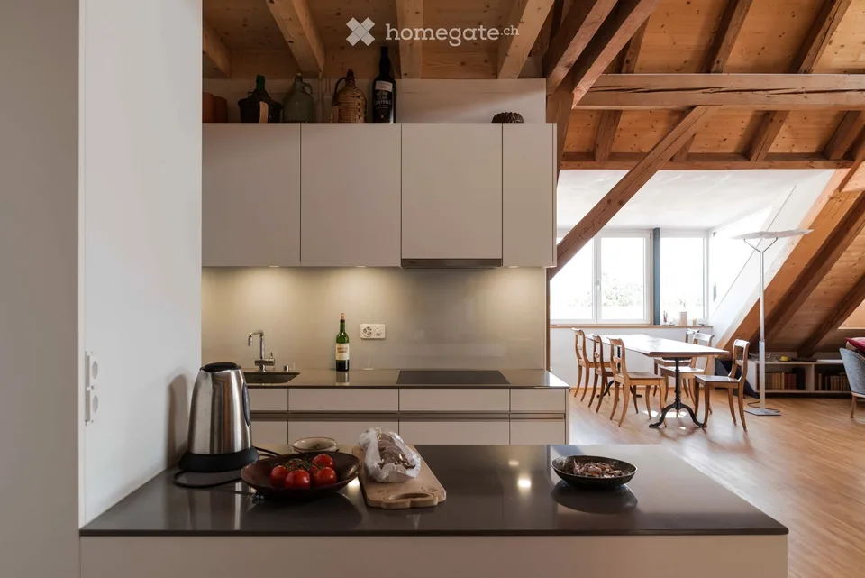 Appartamento loft spazioso con galleria in una fattoria storica