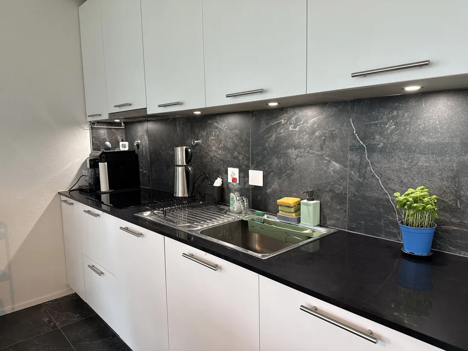 Prachtvolle neuere Wohnung mit Terrasse und großem Garten