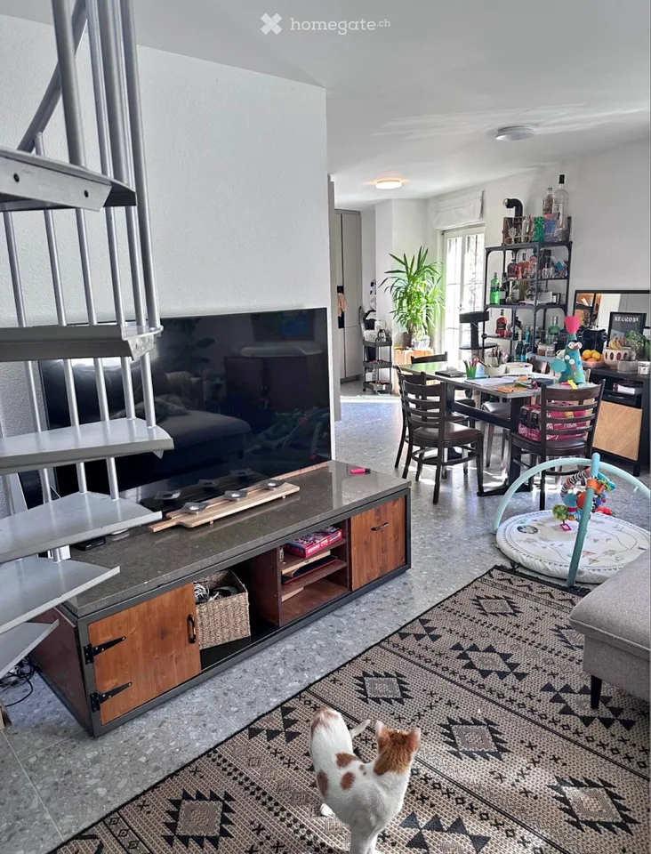 Appartement 4,5
