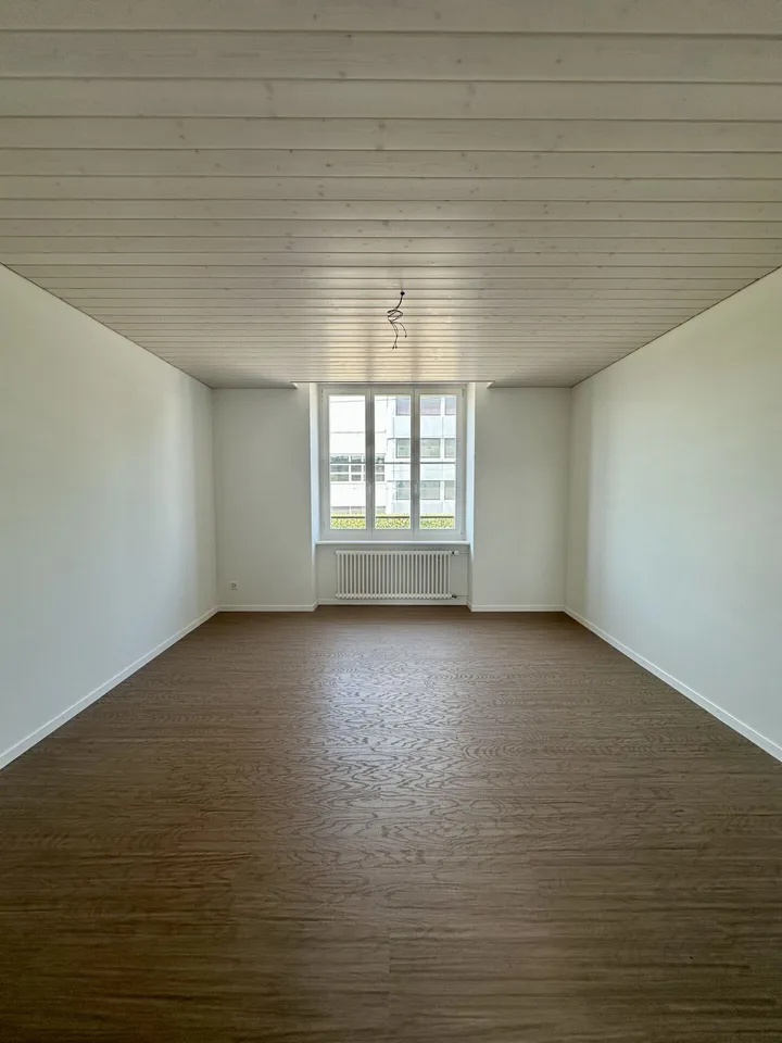5-Zimmerwohnung, Erstbezug nach Sanierung