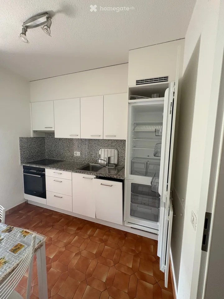 Helles 2.5-Zimmer-Apartment mit Balkon in Agno