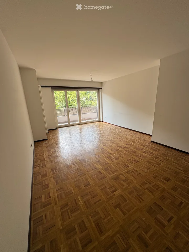 Helles 2.5-Zimmer-Apartment mit Balkon in Agno