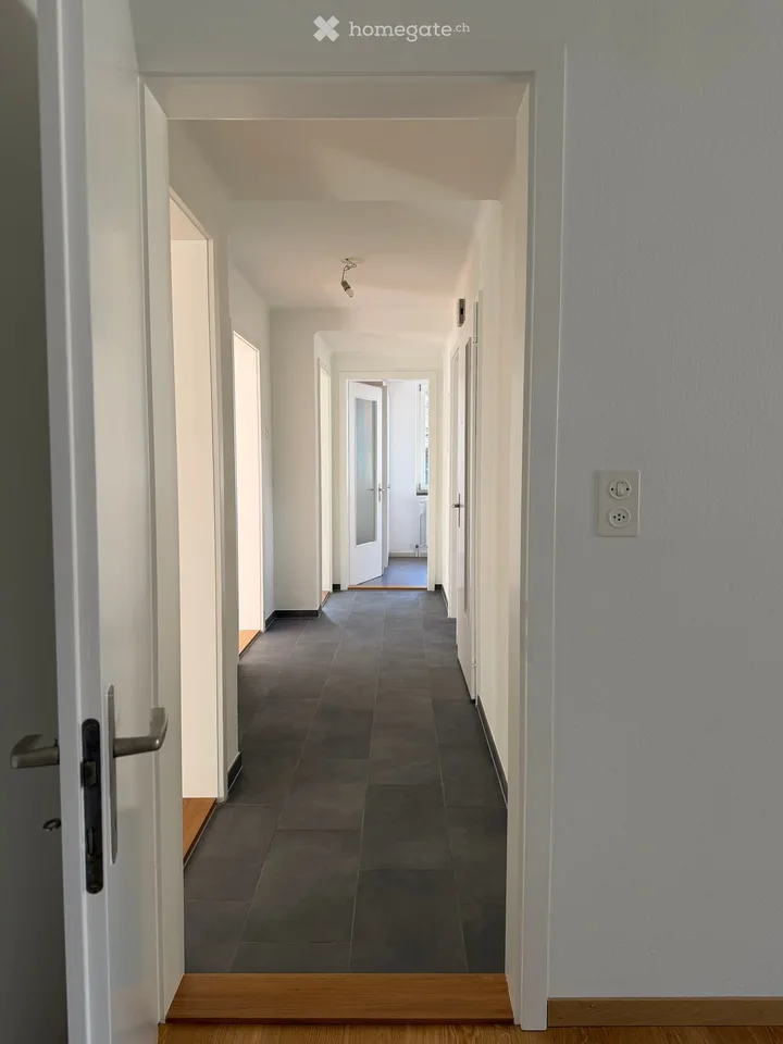 Charmante 4-Zimmer-Wohnung mit Bergpanorama in Amsteg