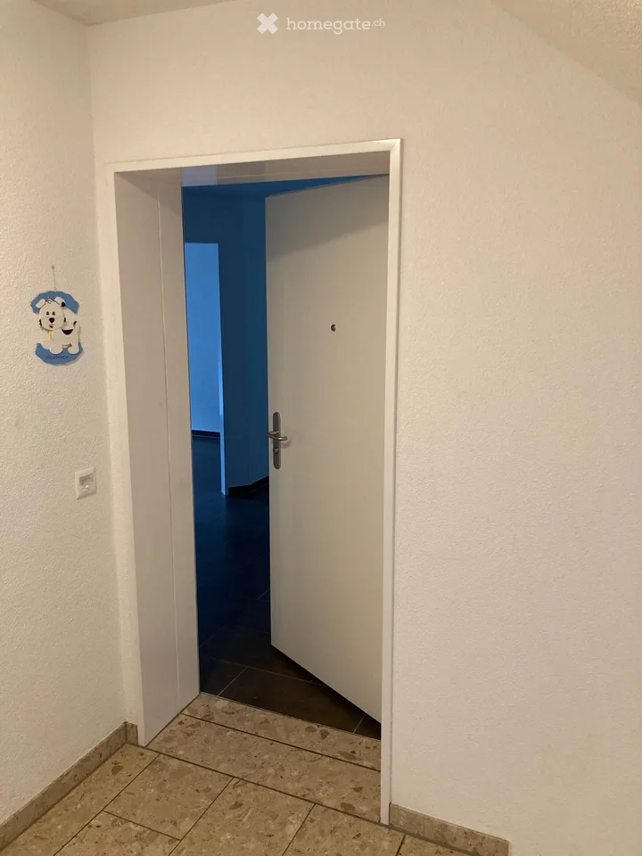 Geräumige 6.5-Zimmer-Maisonette-Wohnung in Oberhasli – ab 1. Sept 2026 (evtl. 15 Aug ) verfügbar