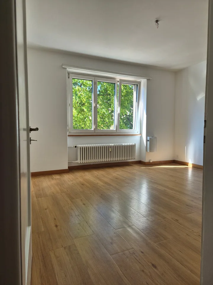 4.5-Zimmerwohnung im Ostring