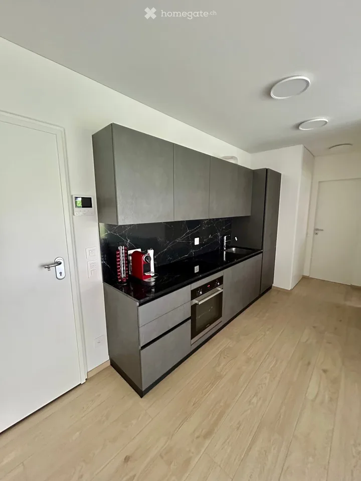 Neues und modernes Apartment mit privatem Garten