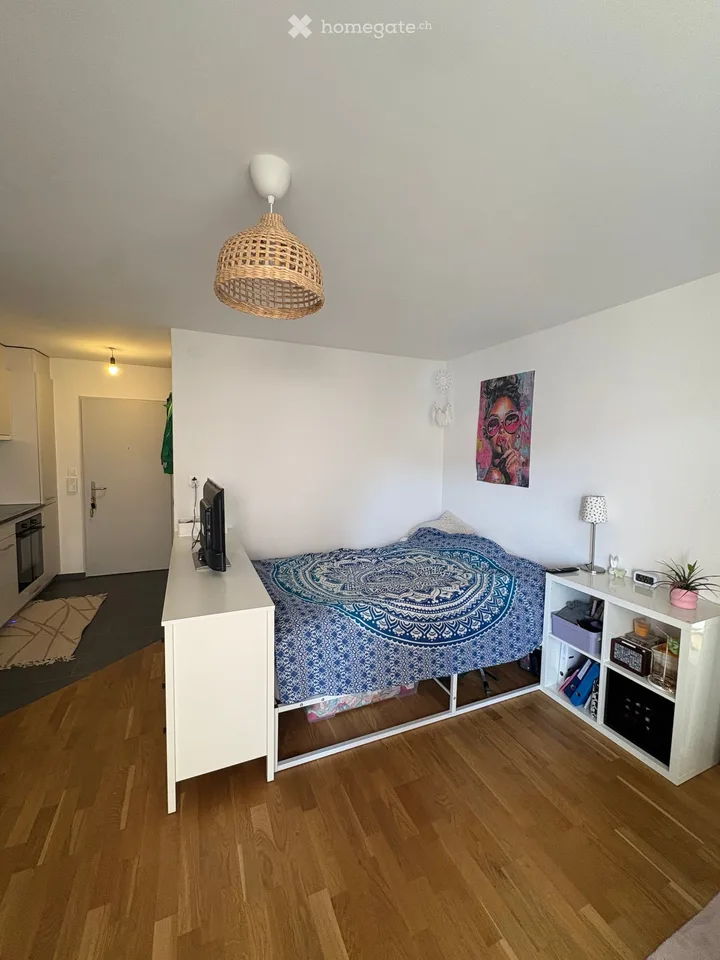 1-room apartment with balcony in Embrach