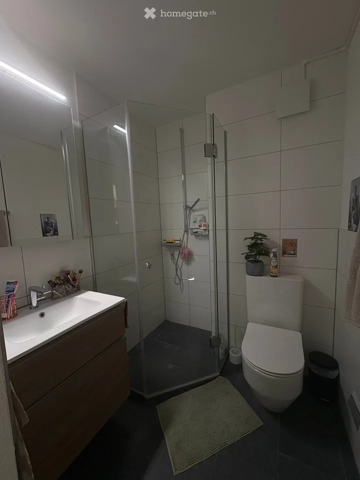 1-room apartment with balcony in Embrach