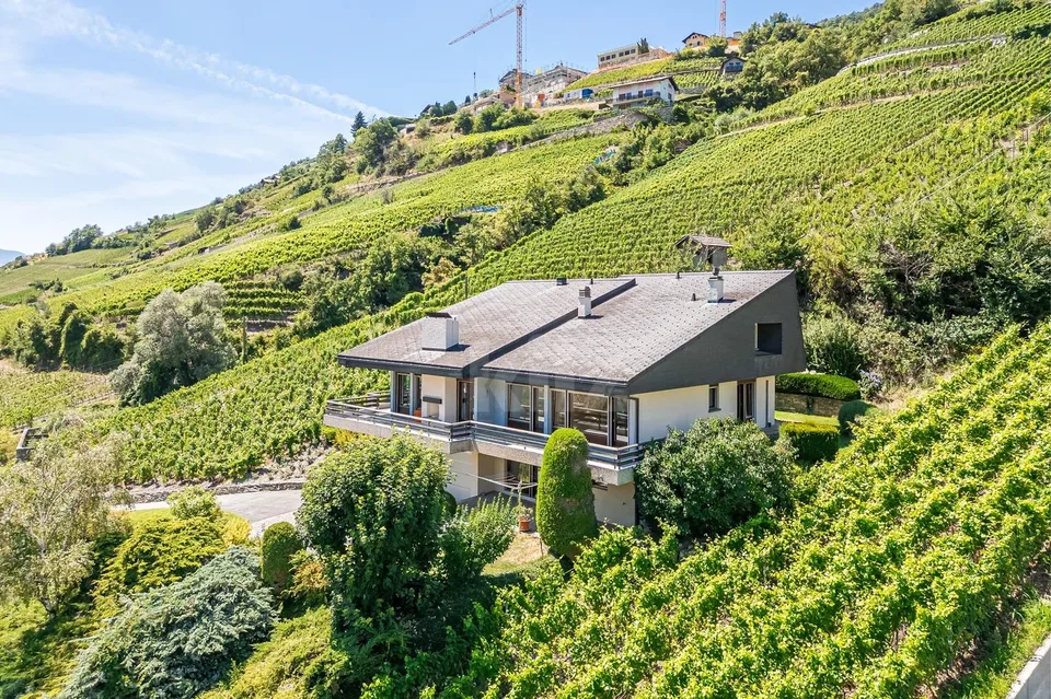 Magnifique villa individuelle avec studio indépendant