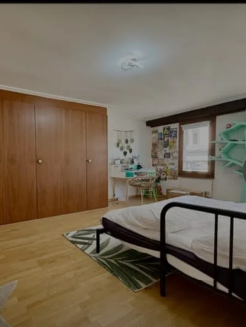 ZENTRUM GENF 4,5 Zimmer