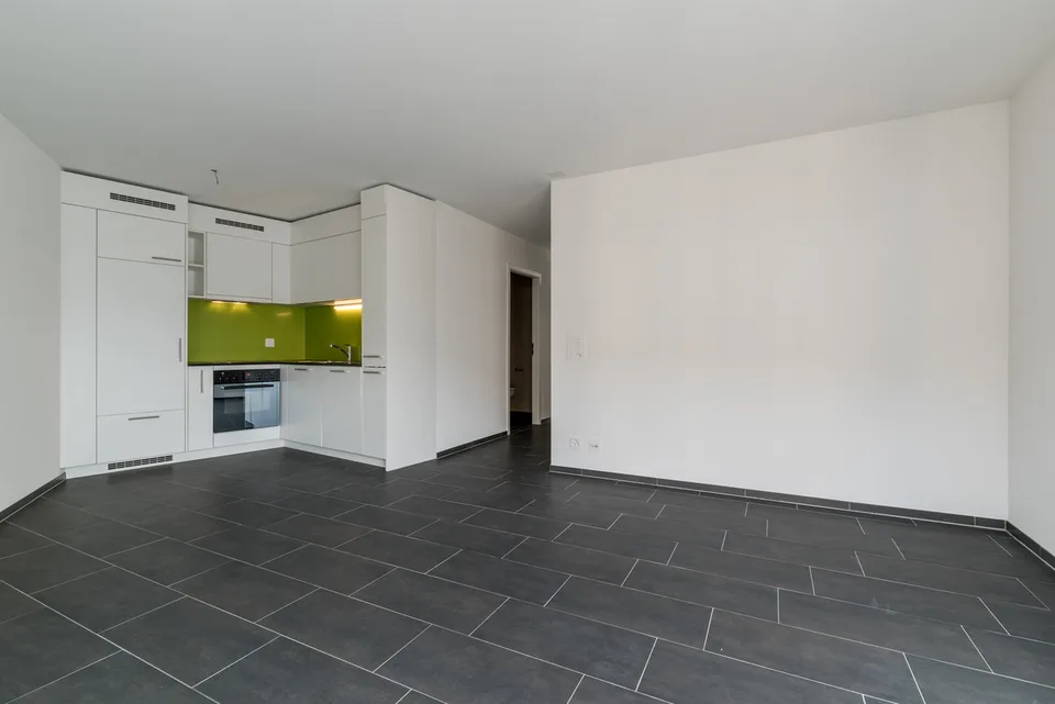 Lumineux 2.5 pièce de 56 m2