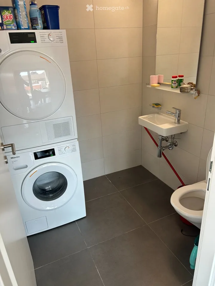 Prachtvolle Wohnung zur Miete in Renens