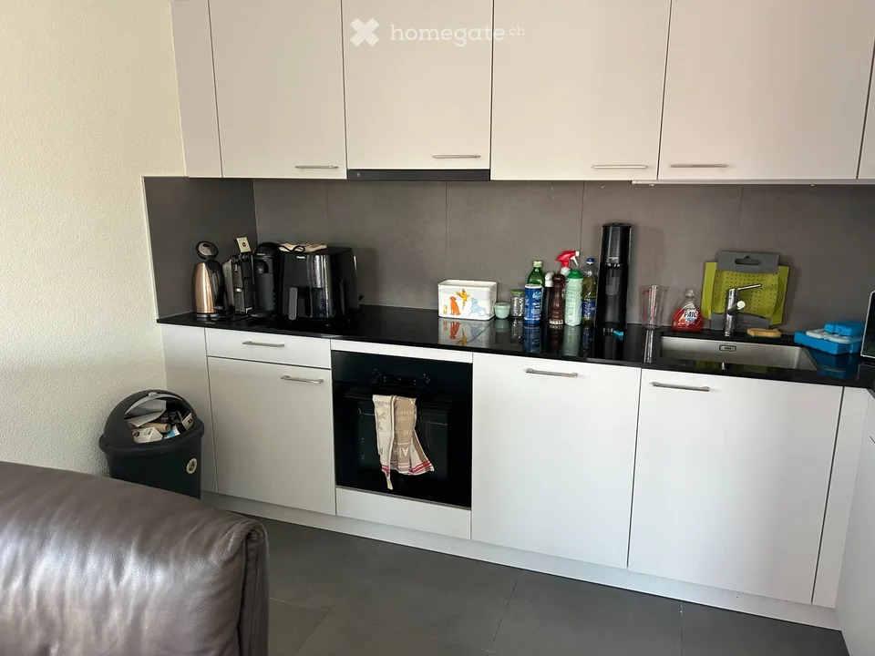 Prachtvolle Wohnung zur Miete in Renens