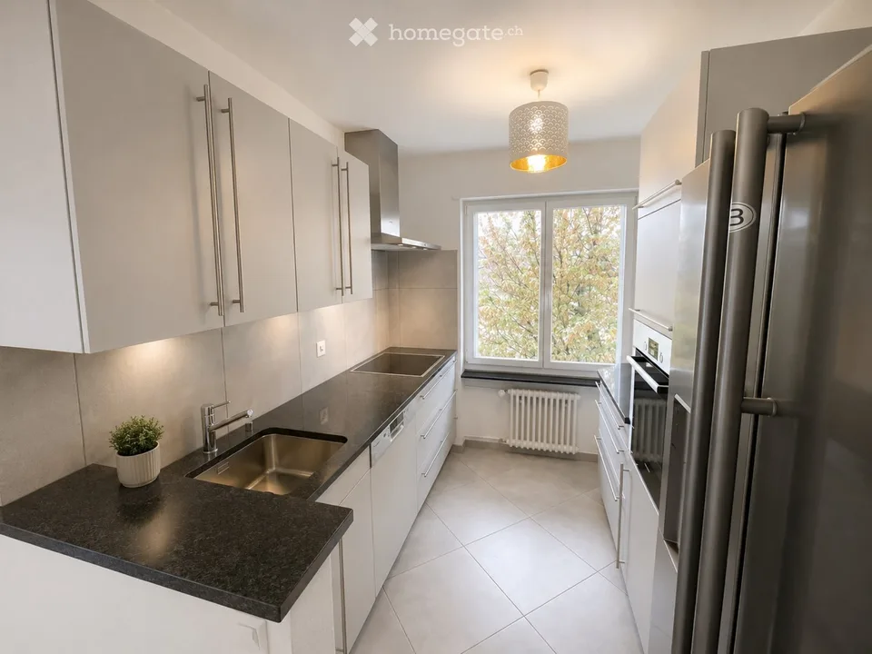 Modern 4.5-room apartment with large balcony and view