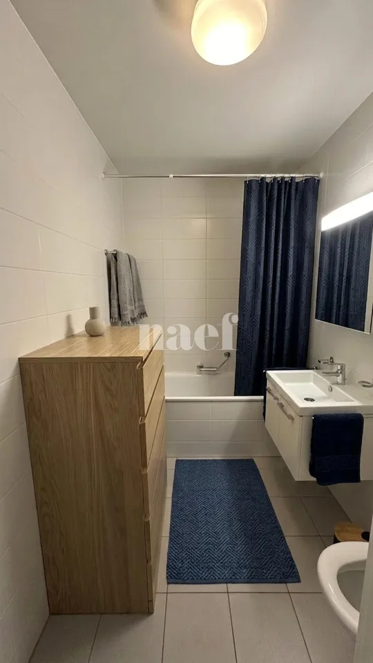 Schönes neues 2.5-Zimmer-Apartment von ca. 45m2 im 3. Stock