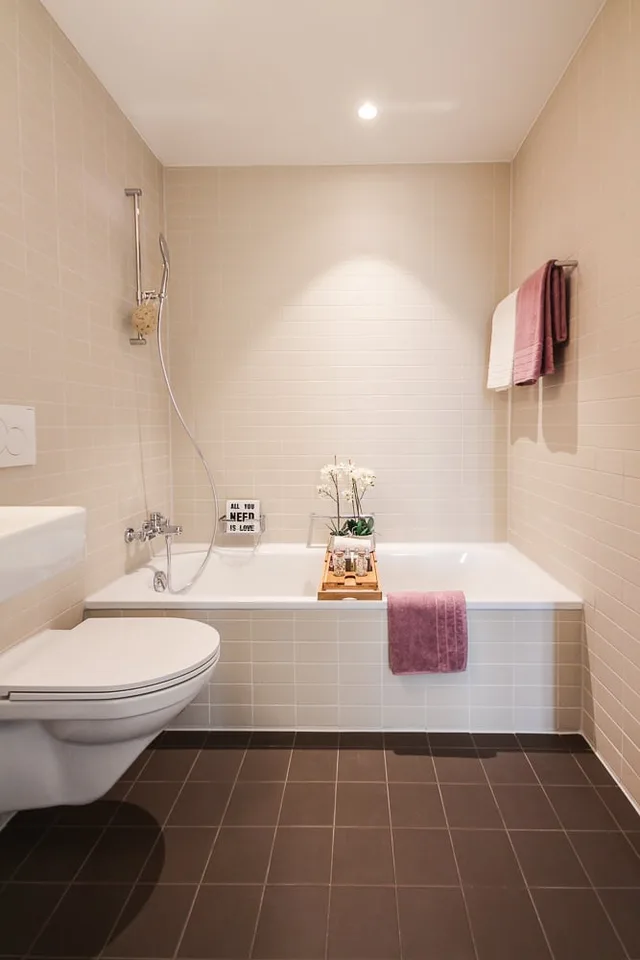 Small but impressive - RENT WITHOUT DEPOSIT