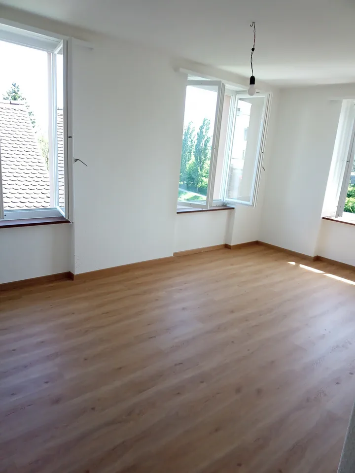 Zentral gelegene Wohnung mit top Aussicht - direkt an der Limmat