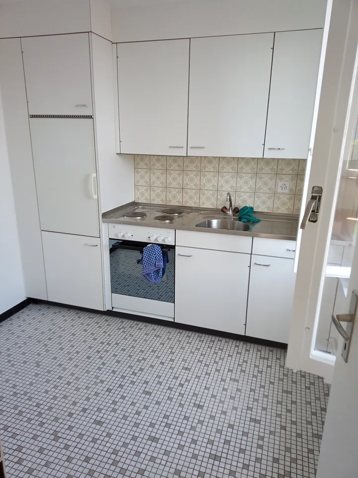 Zentral gelegene Wohnung mit top Aussicht - direkt an der Limmat