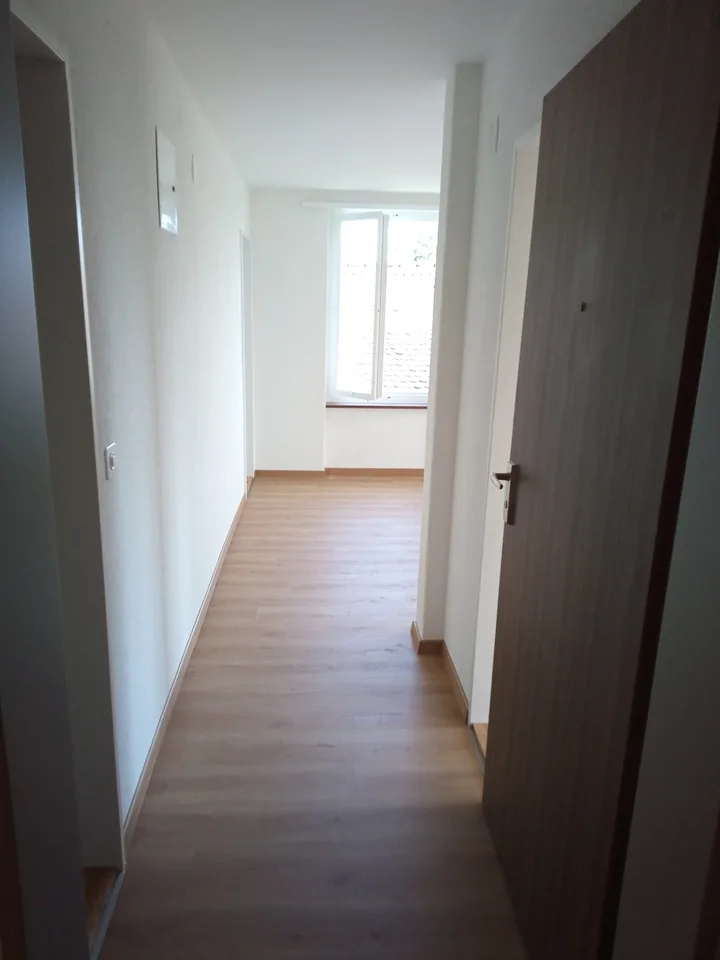 Zentral gelegene Wohnung mit top Aussicht - direkt an der Limmat