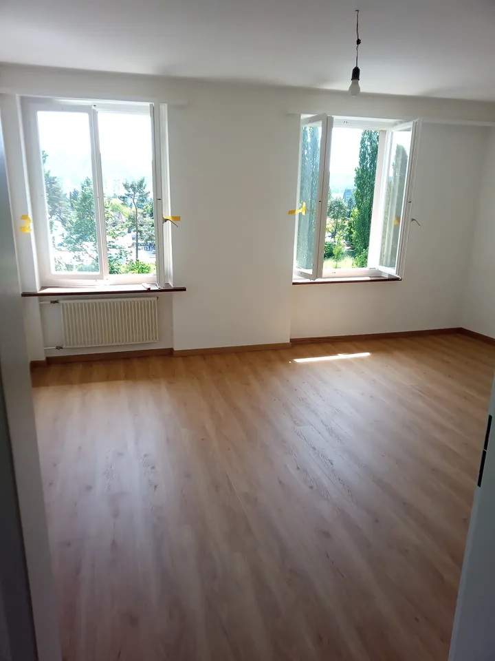 Zentral gelegene Wohnung mit top Aussicht - direkt an der Limmat