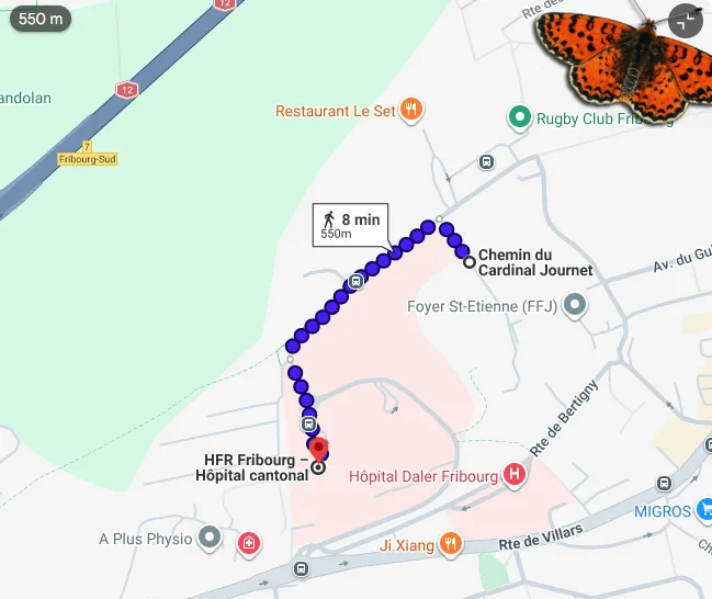 Villars sur Glane - Parcheggio interno vicino a HFR
