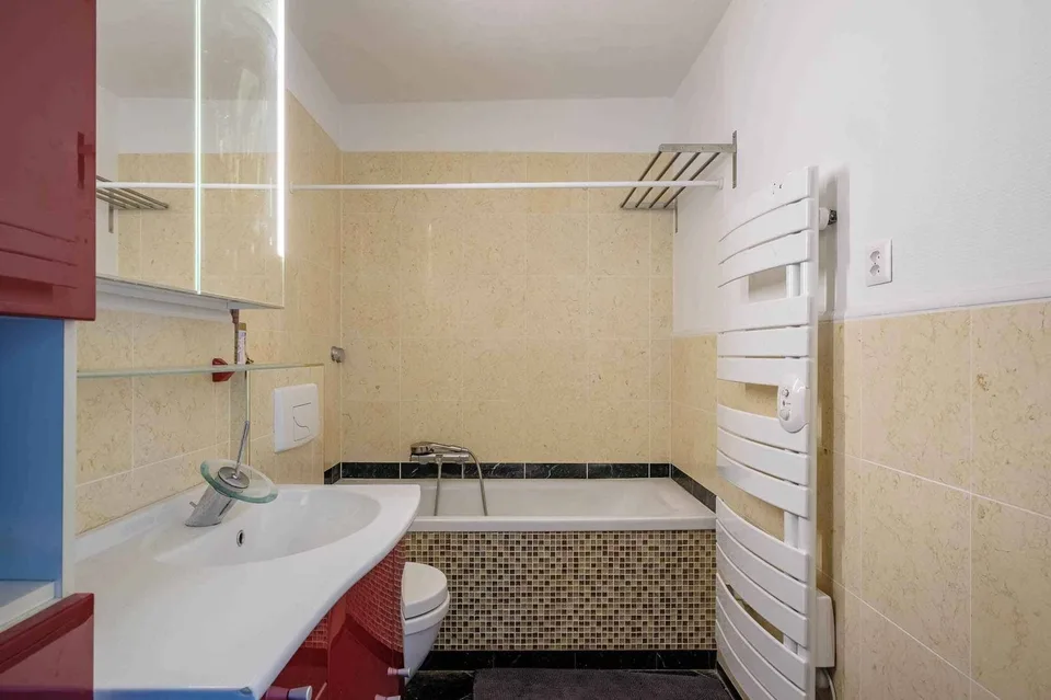 Bello appartamento di 2 locali con vista su Eaux-Vives – foto 6 di 10