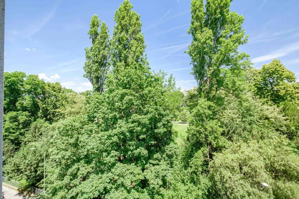 Bello appartamento di 2 locali con vista su Eaux-Vives – foto 7 di 10