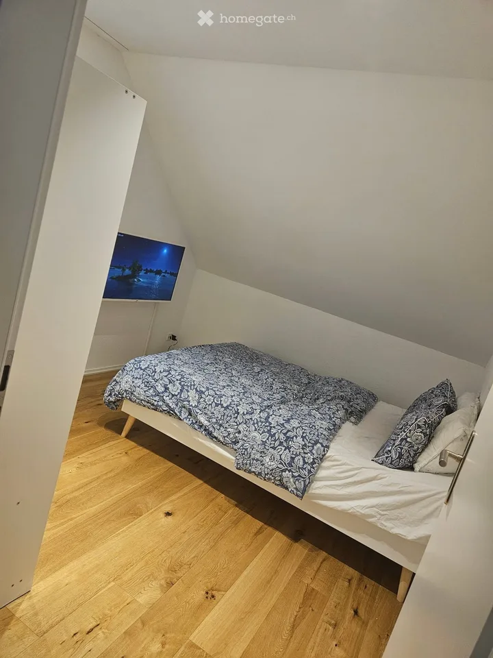 Subaffittuario: Bella appartamento 2,5 locali, CHF 300 in regalo