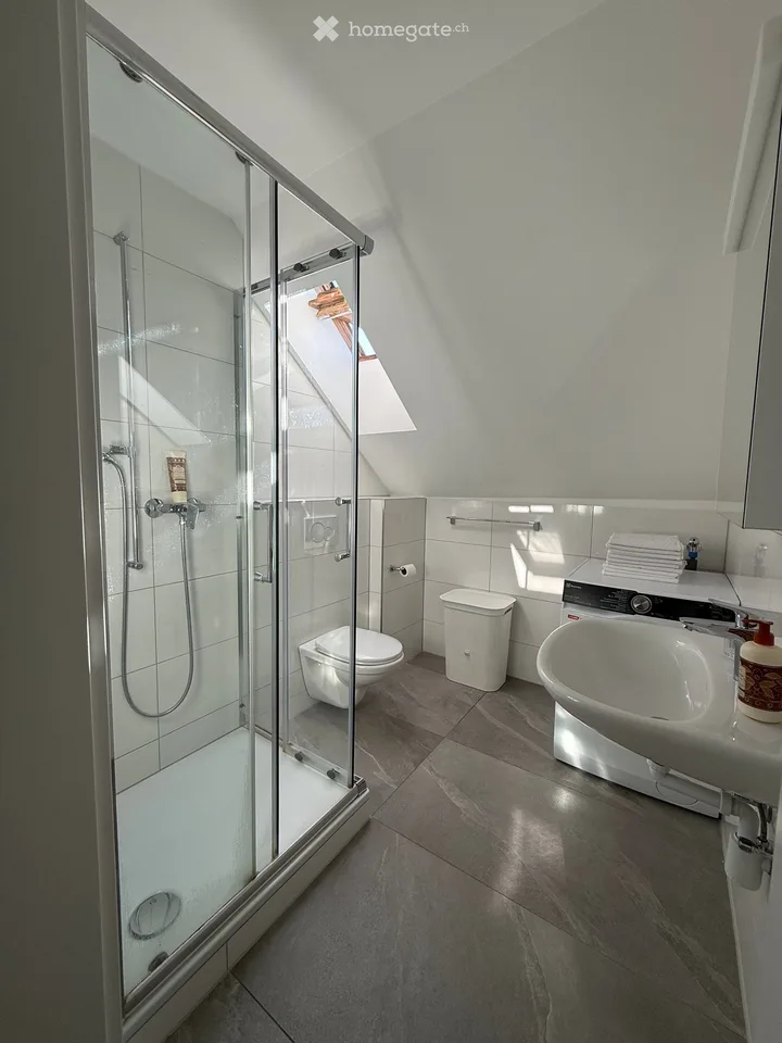 Subaffittuario: Bella appartamento 2,5 locali, CHF 300 in regalo