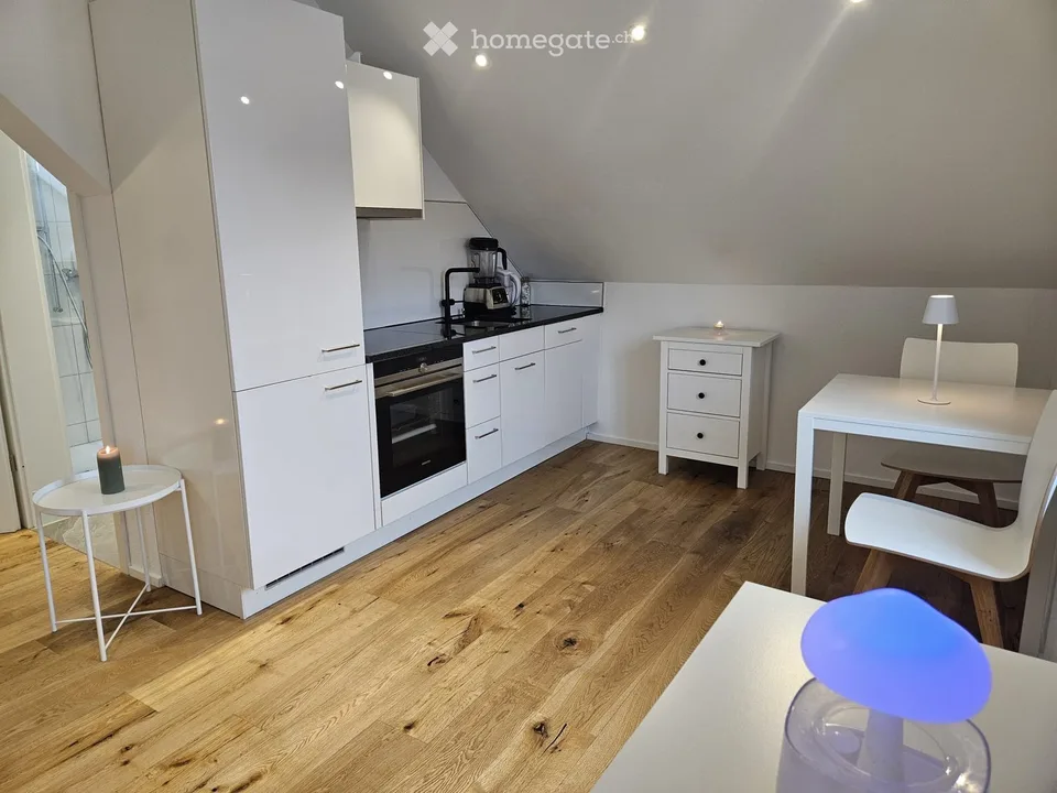 Subaffittuario: Bella appartamento 2,5 locali, CHF 300 in regalo
