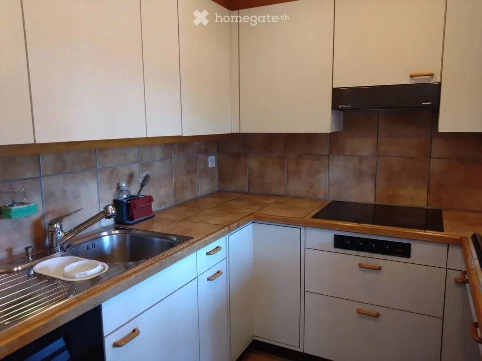 3.5  Zimmer Garten - Wohnung in Wohlen AG