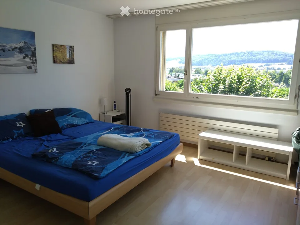 3.5  Zimmer Garten - Wohnung in Wohlen AG