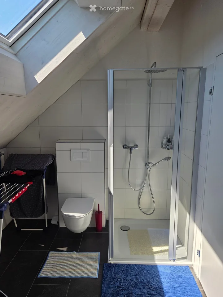 Charmante 4.5-Zimmer-Dachwohnung in Rorbas – modern, ruhig und tierfreundlich  und bezahlbar